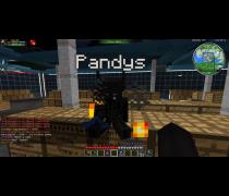 Pandus